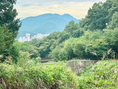 생태공원 둘레길 사진 8