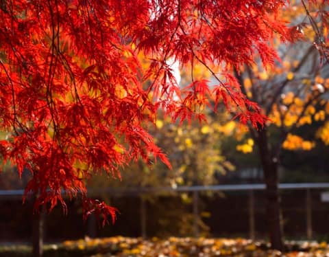 산사길 사진 5