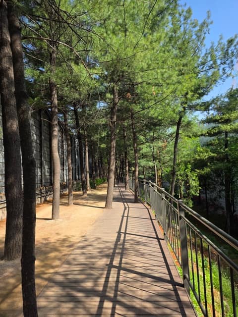 길마중길 사진 1