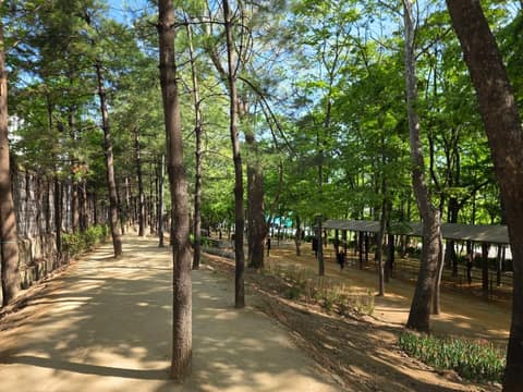 길마중길 사진 3