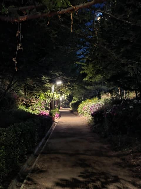길마중길 사진 8