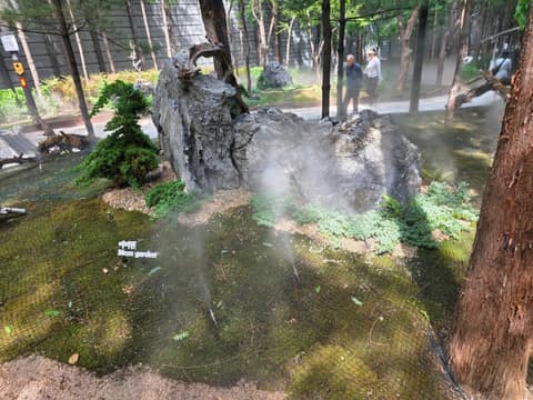 길마중길 사진 9