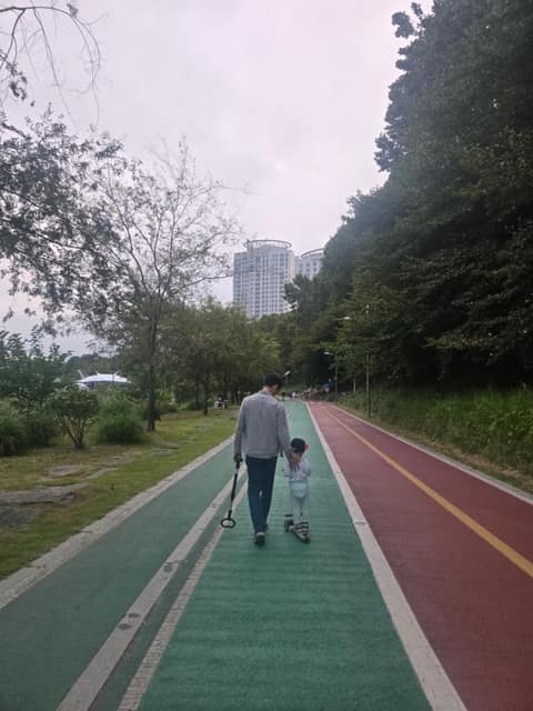 서초구 양재천 사진 6
