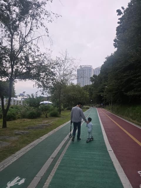 서초구 양재천 사진 7