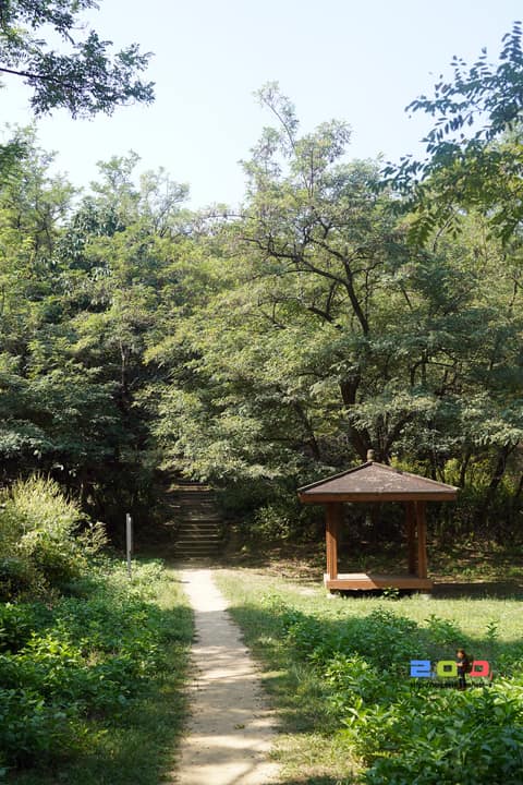 서오릉고개 녹지연결로 사진 6