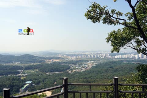 서오릉고개 녹지연결로 사진 7