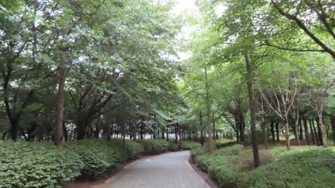 수명산 숲속 탐방로 사진 1