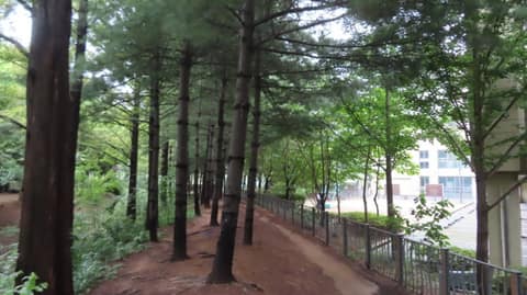 수명산 숲속 탐방로 사진 2