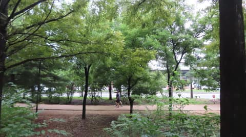 수명산 숲속 탐방로 사진 3
