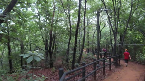 수명산 숲속 탐방로 사진 6
