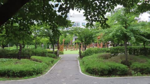 수명산 숲속 탐방로 사진 8