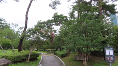 수명산 숲속 탐방로 사진 9