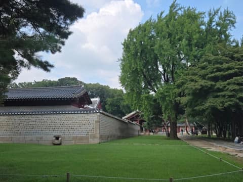 뚝섬 숲속길 사진 2