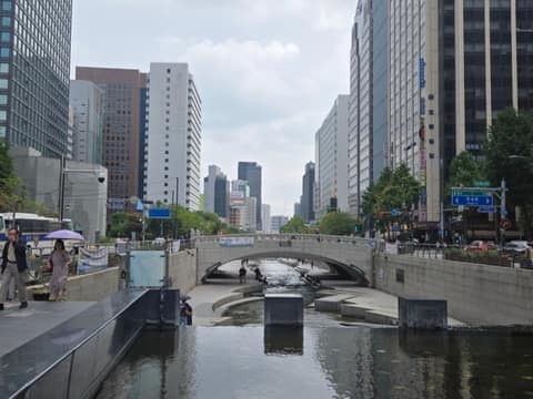 뚝섬 숲속길 사진 4