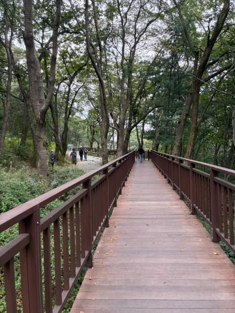 용마산 자락길 사진 1