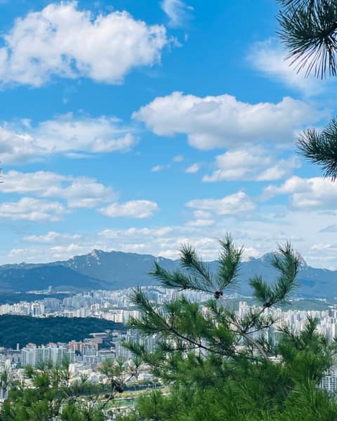 용마산 자락길 사진 5