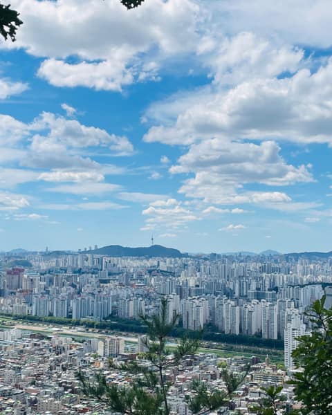 용마산 자락길 사진 8