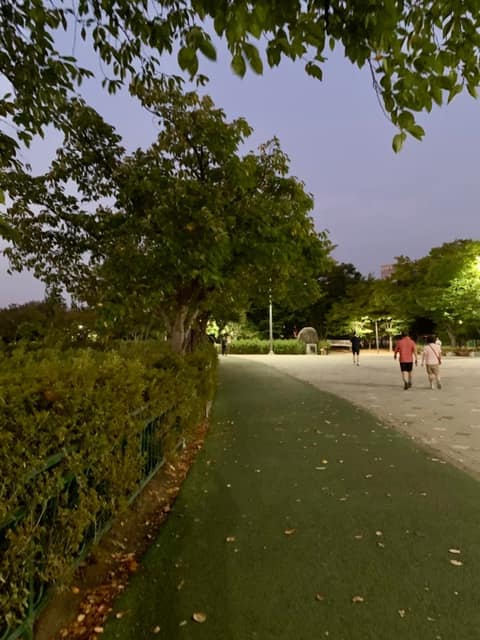 쌍암공원 산책길 사진 1