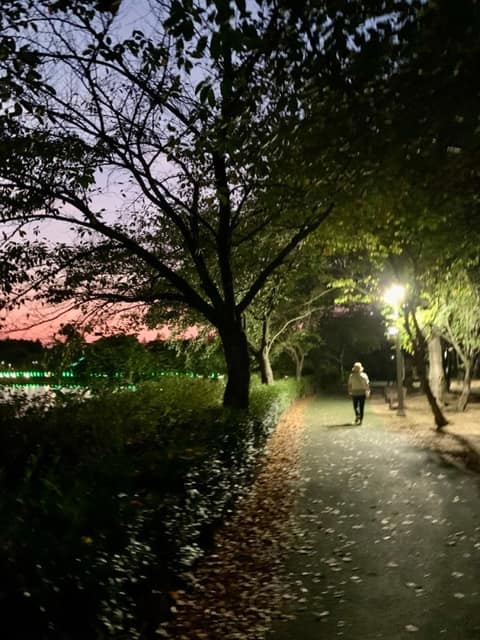 쌍암공원 산책길 사진 3