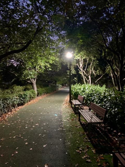 쌍암공원 산책길 사진 4
