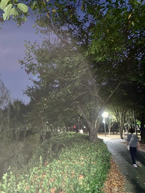 쌍암공원 산책길 사진 5