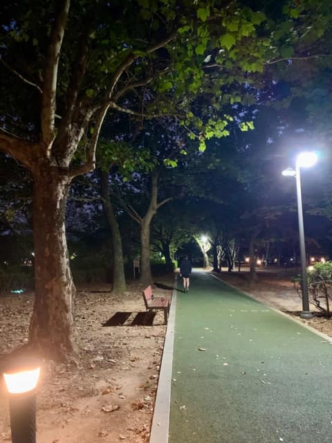 쌍암공원 산책길 사진 6