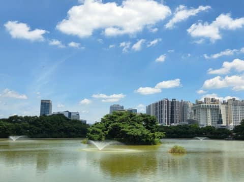 쌍암공원 산책길 사진 7