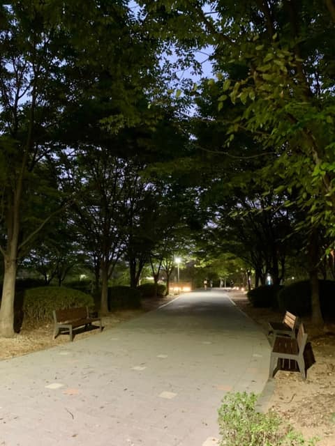 쌍암공원 산책길 사진 8