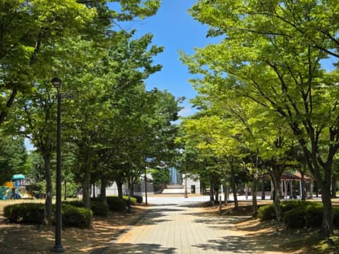 쌍암공원 산책길 사진 9