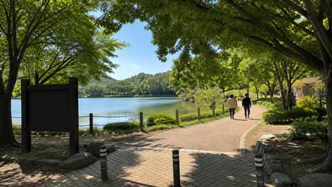 쌍암공원 산책길 사진 10