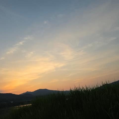 비내섬 탐방로(짧은코스) 사진 8