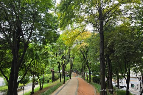 잠두봉 공원 산책로 사진 1