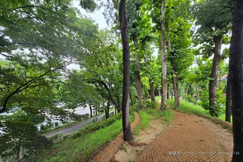 잠두봉 공원 산책로 사진 2
