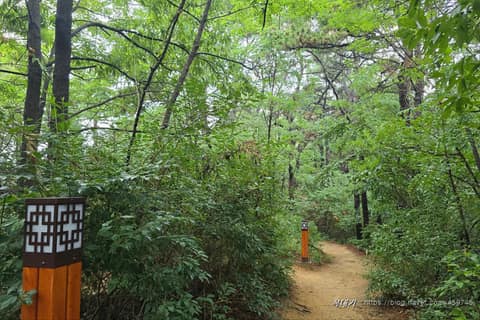 잠두봉 공원 산책로 사진 3