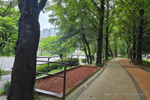 잠두봉 공원 산책로 사진 4