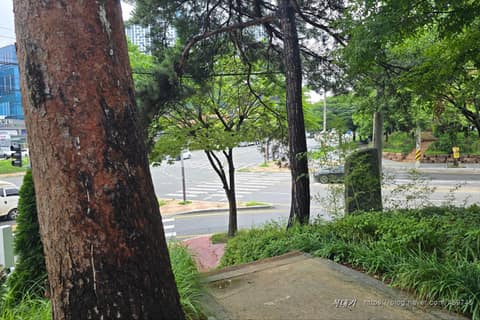 잠두봉 공원 산책로 사진 7
