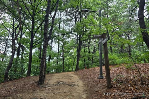 잠두봉 공원 산책로 사진 9
