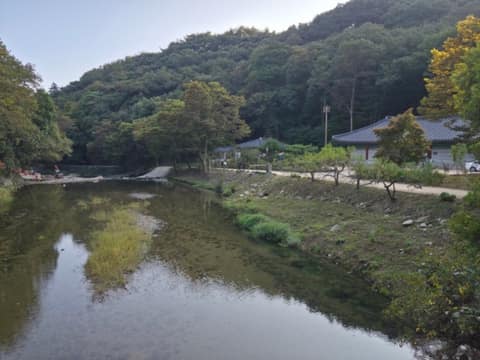 마곡사 솔바람길 3코스 송림숲길 사진 3