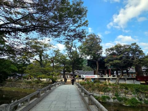 마곡사 솔바람길 3코스 송림숲길 사진 5