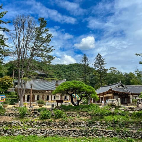 마곡사 솔바람길 3코스 송림숲길 사진 7