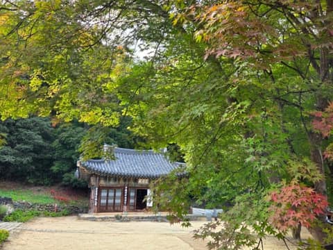 마곡사 솔바람길 3코스 송림숲길 사진 8