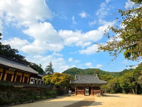 마곡사 솔바람길 3코스 송림숲길 사진 9