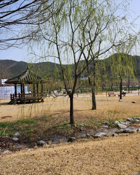 영천댐공원 걷기 사진 8