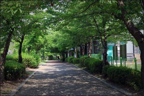 오송호수공원 둘레길 사진 7