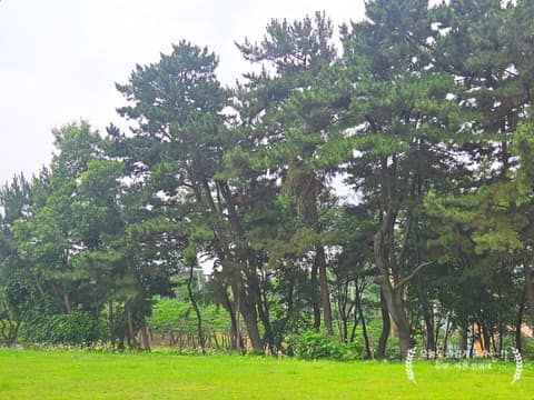 해군영흥도전적비 걷기코스 사진 2