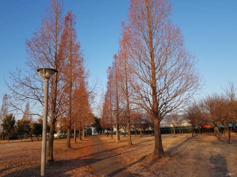 광양항 해양공원 산책길 사진 3