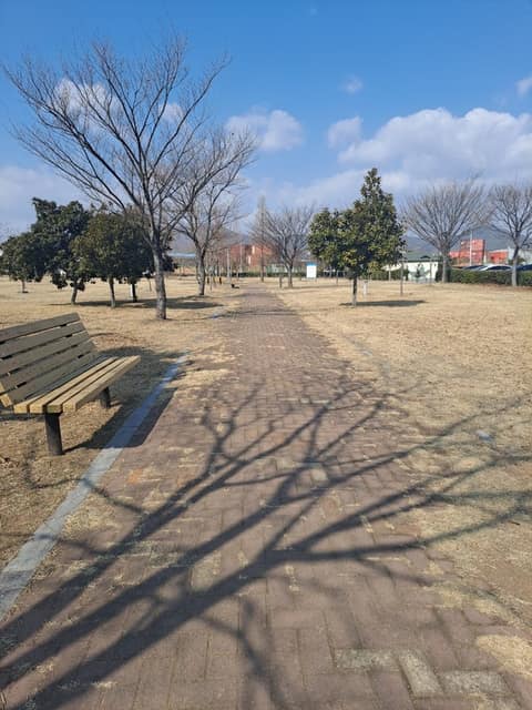 광양항 해양공원 산책길 사진 4