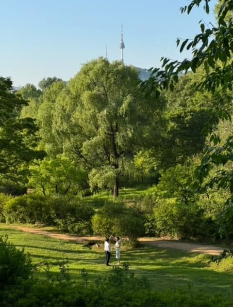 용산가족공원 대표 산책길 사진 5