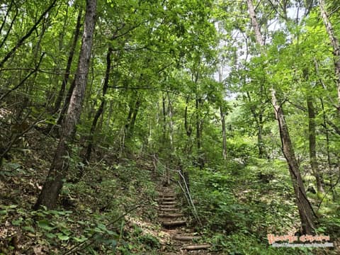 계명산 등산로(4코스) 사진 6