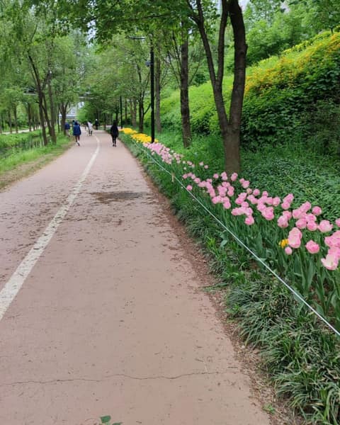 고덕천 산책길 사진 4